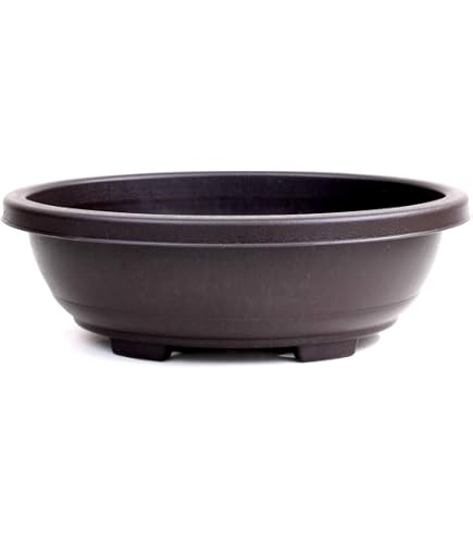 Produktbild von Bonsai - Schale, Waldschale, Oval 21 X 15.5 X