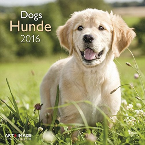 Hunde 2016 A&I