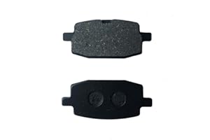 SALLYGARDENS Passend für Baotian REX RS 450 GY6 50ccm 4 Takt China Roller_AB