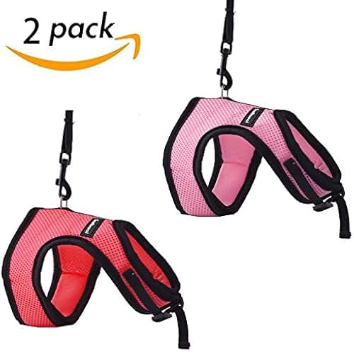 Amazon.co.uk Rabbit Collars, Leads & Harnesses / Small Animals Pet