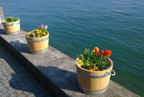 Blumentopf, Blumenkübel aus Eichen-Holz – Fass, Holzfass als Pflanzkübel – Weinfass, Bottich, Holzkübel (D30 bis D60) mit Schlaufen (D40 H35 mit Schlaufen) - 9