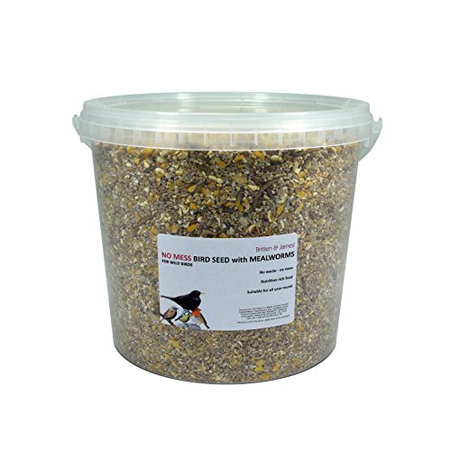 Britten & James Graines d'oiseaux Sauvages All in One Protein No Mess avec Mouches. Donne Un Coup de Pouce supplémentaire aux Oiseaux. Nourrissez Librement en Hiver.