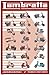 Produktbild Lambretta Evolution Maxi Poster, Mehrfarbig