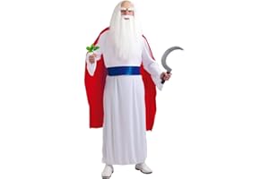 FIESTAS GUIRCA Déguisement adulte Druide de bande dessinée - L