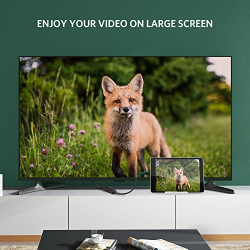 UGREEN-Micro-HDMI-to-HDMI-Adapter-Support-4K-3D-with-Golden-Plated-Connectors-for-Smart-Phones-Tablets-CamerasGoPro-HERO-5-and-Other-Devices