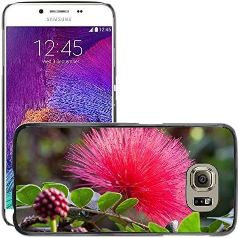 Super Galaxy Slim PC Hard Case Cover Skin Armor Shell Protection // M00238589 Calliandra Haematocephala Flower // Samsung Galaxy S6 (Not Fits S6 EDGE)