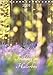 Produktbild Frühling im Hallerbos (Tischkalender 2018 DIN A5 hoch): Naturschauspiel der blühenden Hyacinthen im Stadtwald von Halle, Belgien. (Monatskalender, 14 ... [Kalender] [Apr 01, 2017] Eigenheer, Sandra