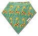 Premium Baby Bandana Bibs, 100% Organic Cotton, Set of 5 Unique Designs (Boys Set)