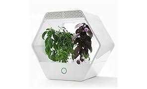 Robonica - Serra Idroponica Intelligente Linfa (Include Mix Iniziale di Basilico), Bianco