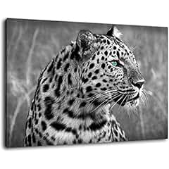 Suchergebnis auf Amazon.de für: Gepard - Bilder, Poster, Kunstdrucke
