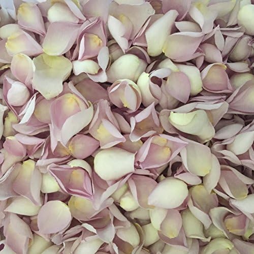 Biodegradable Rose Petal Wedding Confetti (Mother of Pearl, 1 Pint)