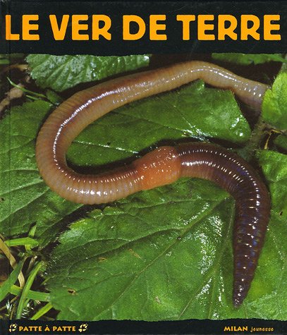 couverture de : VER DE TERRE (LE)