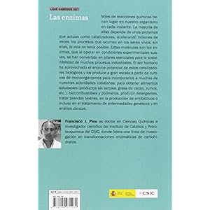 Las Enzimas