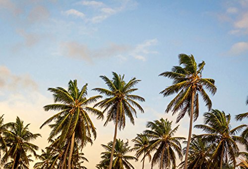 Preisvergleich Produktbild Roomidentity Vliestapete Take me to Ibiza 372x254cm