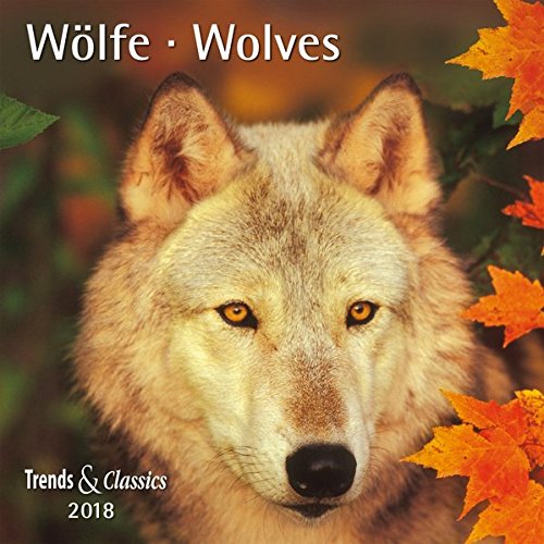 Preisvergleich Produktbild Wölfe Wolves 2018 - Broschürenkalender - Wandkalender - mit herausnehmbarem Poster - Format 30 x 30 cm
