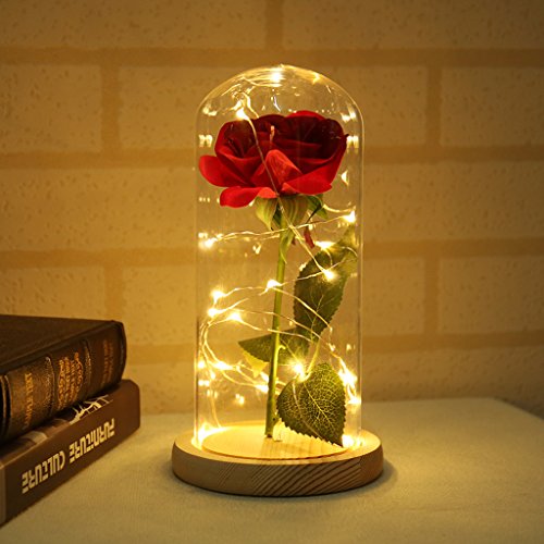 Warmmie Beauty and The Beast Clic Fresh Fleur Rose Clair dans Un Verre Romantique en Bois Base de Saint-Valentin Anniversaire Anniversaire Beige