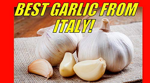 Preisvergleich Produktbild GEOPONICS Cézannes. Staude.