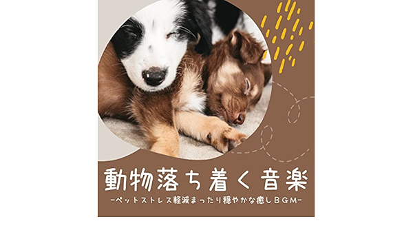 動物落ち着く音楽 ペットストレス軽減サウンド まったり穏やかな雰囲気になるｂｇｍ 動物リラクゼーション Amazon De Digital Music