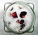 Relaxing Rose Bath Salts 100% Natural With Bamboo Spoon 350g Dead Sea & Epsom Salt Neroli Grapefruit Magnesium Oil Rich Helps Even Skin Tone and Prevent Dullnes