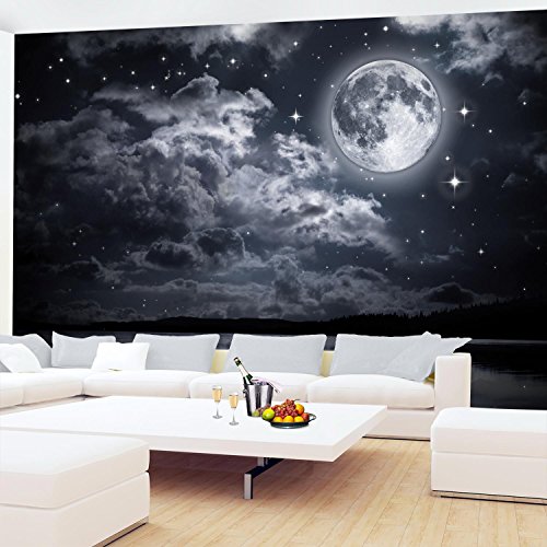 Fototapete Vollmond 308 x 220 cm – Vliestapete – Wandtapete – Vlies Phototapete – Wand – Wandbilder XXL – !!! 100% MADE IN GERMANY !!! Runa Tapete 9116010c - 4