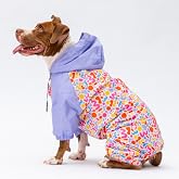 Pawstar Marsala Polarlı Su Ge&ccedil;irmez Orta-B&uuml;y&uuml;k Irk K&ouml;pek Yağmurluk Tulum (4XL)