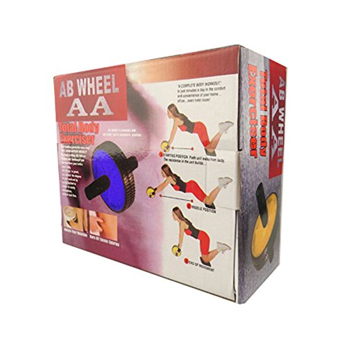 Dual Abs Abdominal Roller Wheel Exerciser Workout Roller Wheel