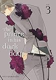 Image de The Prince in His Dark Days 3