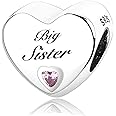 MsRosy New Women's S925 Sterling Silver Heart Charms For Bracelets Gift For the Family and Friends
