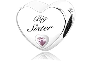 MsRosy New Women's S925 Sterling Silver Heart Charms For Bracelets Gift For the Family and Friends