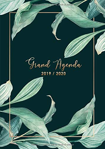 Télécharger Grand Agenda 2019-2020: A4 Planificateur Juillet 2019 - Décembre 2020 | Semainier grand format 21x2 PDF Ebook En Ligne
