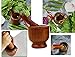 Produktbild Khandekar (with device of K) Masher Gewürzmühle, Holz Mörser und Stößel - ideal für Crushing Spice & Herbs Crusher, perfekt zum Mahlen von Knoblauch/Herb/Crushing Sesamsamen Handarbeit (7 X 3,5 Zoll)