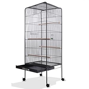 Deuba®Jaula de pájaros | XL | 13,5 kg | Con ruedas giratorias | 146 cm | casa para pájaros | Incluye accesorios | Jaula grande | Bandeja extraíble |