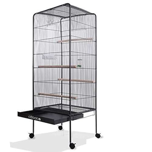 Amazon.fr cage a oiseaux Animalerie