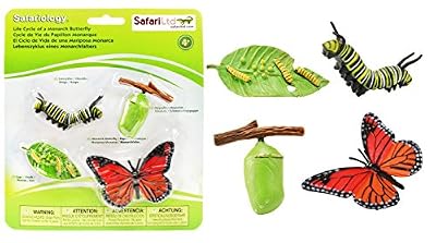 Safari Ltd. Cycle de vie d'une Papillon Monarque S622616