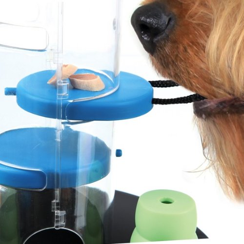 Gambling-Tower-Treat-Dispenser-For-Dogs