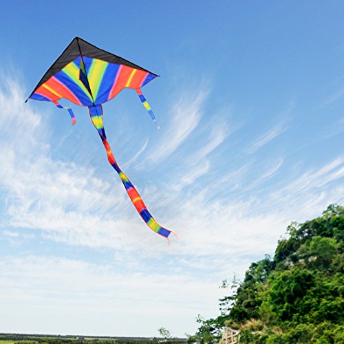 Foxom 2Pcs Rainbow Kite for Kids, Girls, Boys, Toddlers - Most Popular Outdoor Toys, Huge Kite with 50m/164 Feet Flying Line