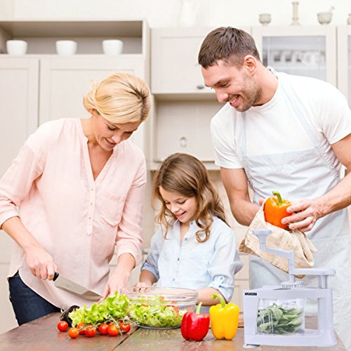 Spiraler Hobel, NexGadget Spiral-Ultra-4-Blatt Spiralizer, 8 in 1 Multi Spiraler Hobel, Schwere Gemüsenudelnmaschine und Mandolinist Hobel für Menschen mit gesunder Lebensmittel - 8