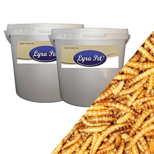 2 x 5 L Mehlwürmer getrocknet im Eimer weiss Futter für Fische Vögel Nagetiere Igel