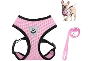 Bieiyhe Arnes Gatos Antiescape Perro, Arnes Acolchado con Correa Gato, Arnes Perro Pequeño Ajustable, Arnes Cachorro Perro,Pechera para Perro,Arnés Antitirones Reflectante para Perros Pequeños y Gatos