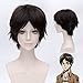 30cm Straight Party Hair Wig Anime Attack On Titan Eren Jaeger Dark brown Short Cosplay Wig