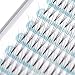 Noir® 0.10 3D Lotus Premade Volume Fans Semi Permanent Eyelash Extensions Tray (C MIX)