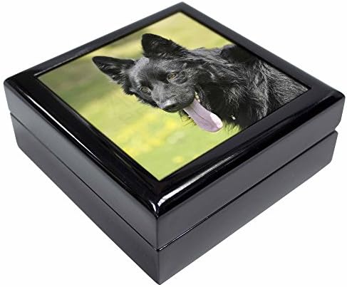 Advanta Group Black German Shepherd Keepsake/Jewellery Box