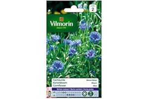Vilmorin Sachet graines Centaurée Bleuet Bleue