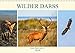 Produktbild Wilder Darß - Fuchs, Hirsch und Co. 2019 (Wandkalender 2019 DIN A3 quer): Faszinierende Bilder der wilden Tiere vom Darß (Monatskalender, 14 Seiten ) (CALVENDO Tiere)