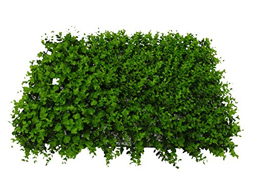 SZ Plancha Alfombra de Césped Artificial 60 * 40cm Jardín Vertical Decoración Interior Pared Hierba (EU Pequeño)