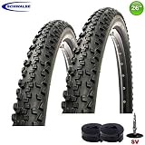 schwalbe black jack 26 x 2.1 2X Schwalbe Black Jack + 2 Mangueras SV13