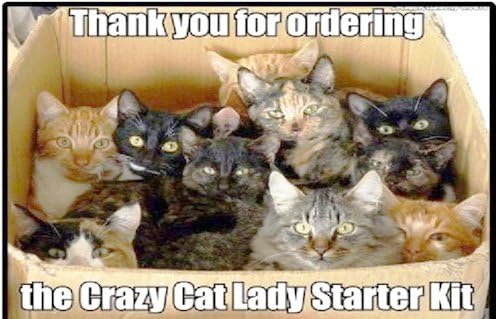Novelty Crazy Cat Lady Starter Kit Funny Photo Fridge Magnet- Photo Novelty Fridge Magnet