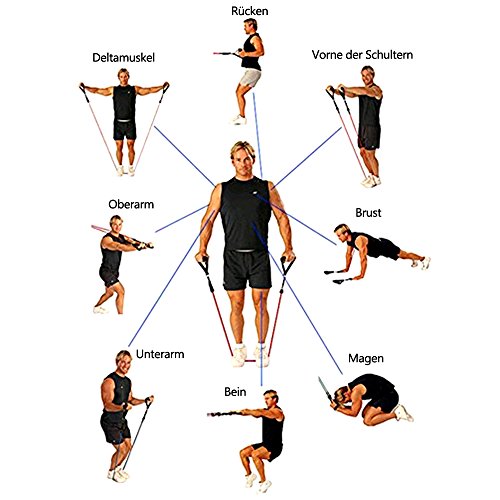 [Updated Version] Sunmoch Resistance Bands Set-5 Widerstandsbänder aus Latex + Griffe, Türanker & Fußschlaufen – Ganz-Körper-Workout Fitnessbänder für Heimfitness / Reisen Fitness / Muskel - 5