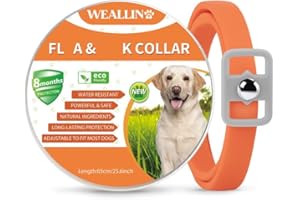 WEALLIN Collare Antipulci Cane, Collare Antiparassitario per Cani, Collare Regolabile Impermeabile, Naturale ed Efficace, 8 Mesi di Protezione, Adatto a Tutti i Cani Arancione