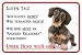 Produktbild AdriLeo Schild - Vorsicht Dackel Wir kaufen Nichts Rauhaardackel Teckel Dachshund Hund Warnschild Achtung Türschild (20 x 30cm)